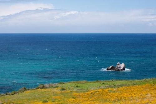Big Sur;Ocean;Aqua;Seascape;Blooming;Flower;California;Petals;California Poppies;Shore;Clouds;Flowering;Blue;Sky;California Poppy;Sea;Green;Weather;Cloud Formation;Coastline;Bloom;Orange;Petal;Coast;Blossom;Shoreline;Rock;Flowers;Water;Cloud